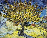 Vincent Van Gogh Mulberry Tree Spain oil painting reproduction
